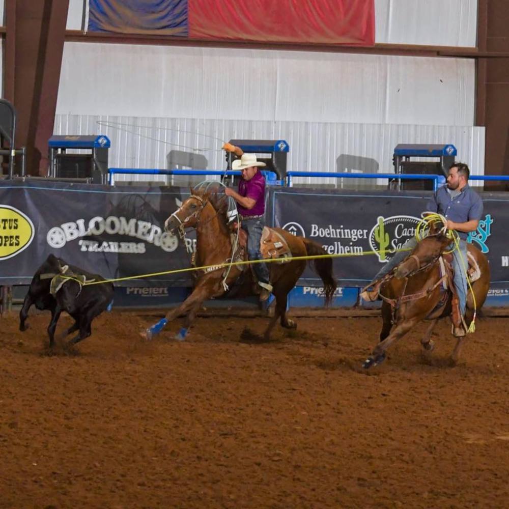 Meet your Posher, Ariel